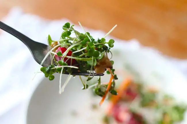 Why You Should Be Eating Microgreens Over Mature Plants