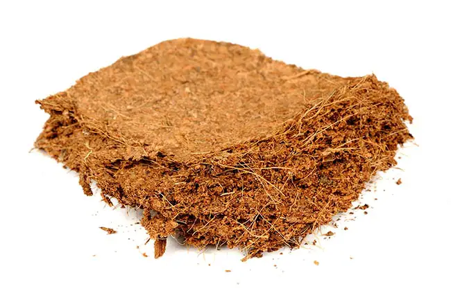 How To Prepare Coco Coir For Hydroponics